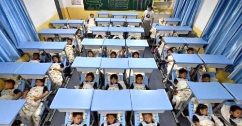 中国中小学生 全班桌下午睡