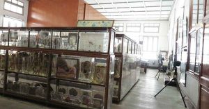 泰国死亡博物馆 展出全是真遗体