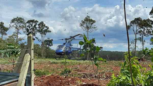 Helikopter,Durian