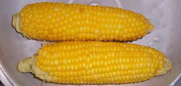 乌克兰是全球第四大玉米出口国。 