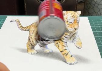 用饮料瓶滚过才发现，站立的小老虎其实是在平面上。