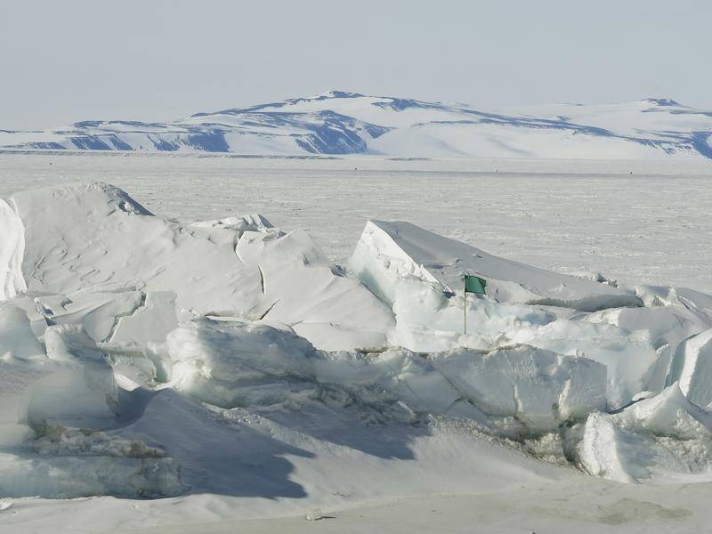 南极罗斯冰架上19个地点采集到的雪样本都含有微塑料。