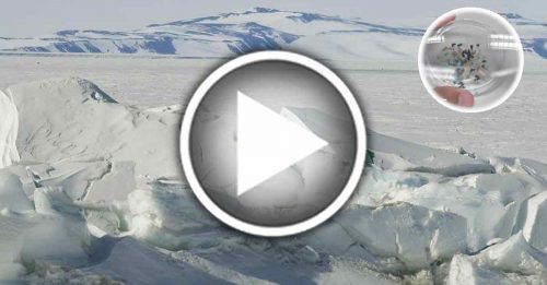 南极新雪首现微塑胶 独特生态系统受威胁