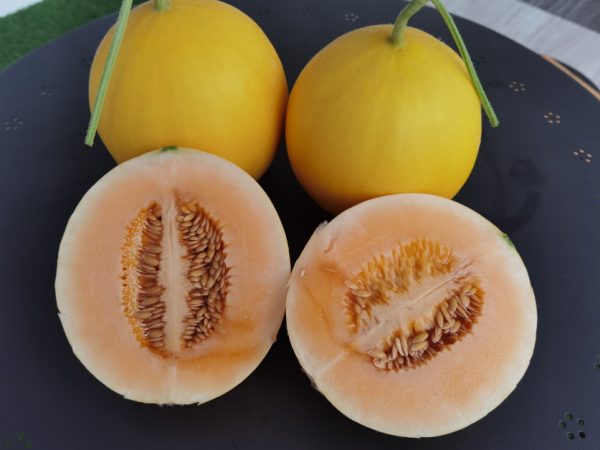 蜜瓜的种子来自泰国，橙色的蜜瓜肉，脆口香甜如蜜，郑荣侨为其取名为“Crown Melon”，蜜瓜重量控制在1～1.5公斤。