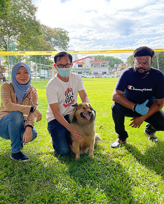 莎丽哈杜（左）和她的团队为狗看诊。