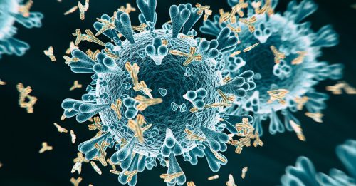 ◤全球大流行◢ 重复染疫 研究：更易冒出新病灶