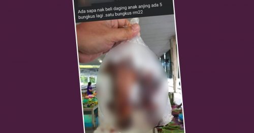 网上售卖炸狗肉 动物协会促当局调查