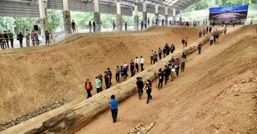 泰国国家公园出土 70公尺石化树干创世界纪录