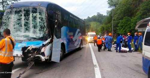 旅游巴士大道车祸 多名游客受伤送院