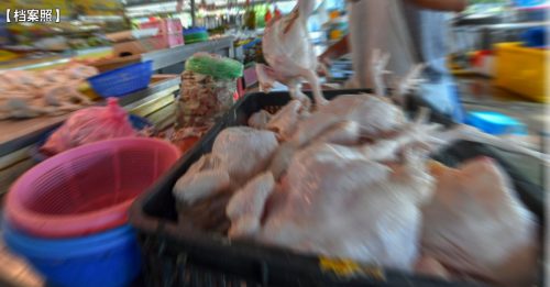 下月建宰鸡场 布城肉鸡顶价RM8.50