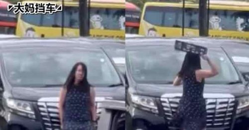 ◤大妈挡车◢ 调查报告已呈检察署 尚不知是否提控母子