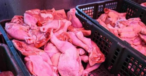 新国批准进口印尼鸡肉 预计数周后开始供应