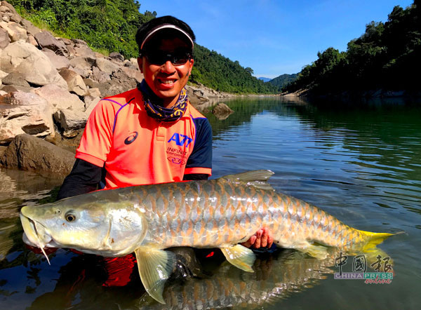 来自澳门的小强，曾两次随团到这条山河钓鱼，这是他第一趟钓获17公斤大金吉罗。