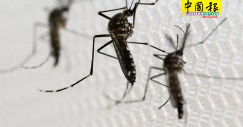 这6种人注意  蚊子最喜欢叮你