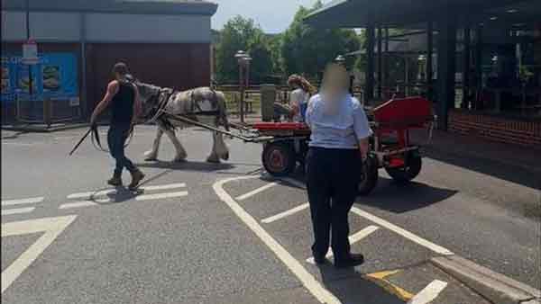 马车被迫离去。