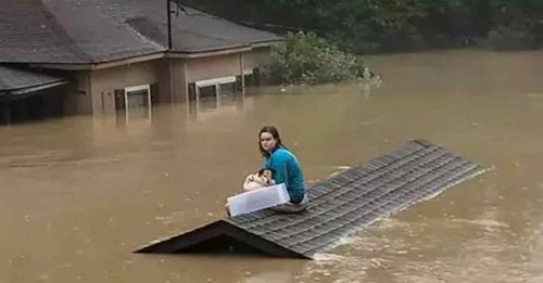 美肯州洪灾增至28死 少女抱狗在屋顶  等5小时获救