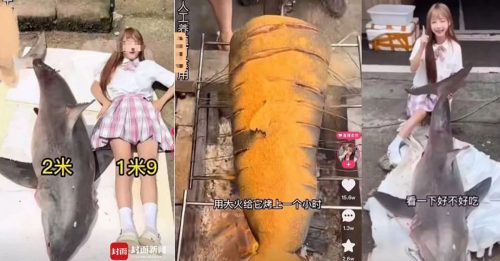 吃播网美吃大白鲨 事情闹大被抓