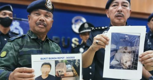 泰国走私船 截获12只值10万宠物犬