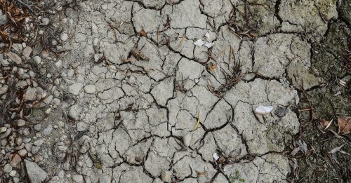 欧洲经历干旱危机 欧盟、英国均受影响