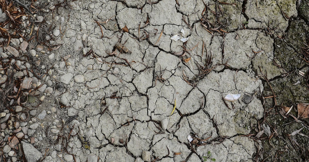 欧洲经历干旱危机欧盟、英国均受影响| 中國報China Press