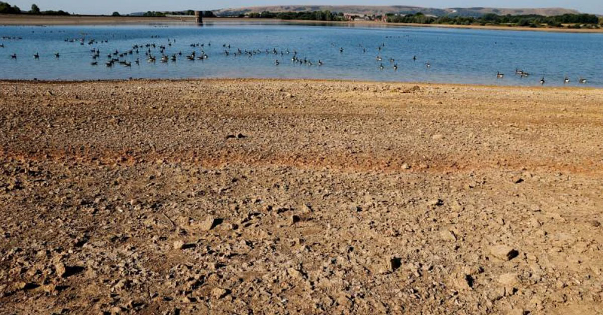英格兰日前遭受自1935年以来最干旱的7月，过去一个月的降雨量是平均的35%。英国波尔盖特镇的阿林顿水库几乎已干枯见底。