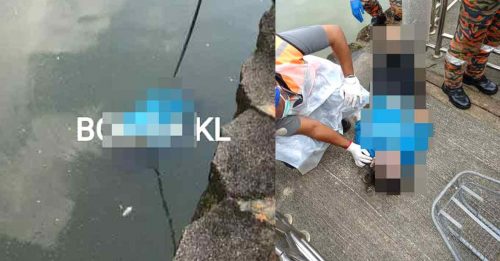 跳入隆湖滨植物公园湖 华裔妇女溺毙