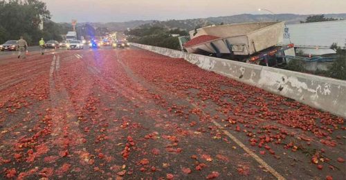 15万颗番茄染红公路 4车打滑酿3伤
