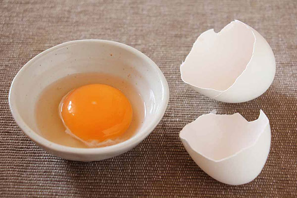 egg china 生鸡蛋 实习生
