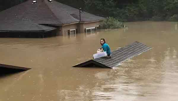 17岁的亚当斯带着爱犬游过洪流，坐到屋顶等待救援。