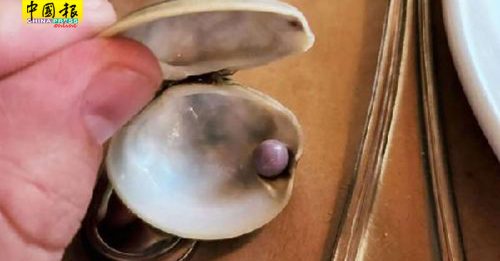 吃蛤蜊咬到硬物 男子吐出罕见紫色珍珠