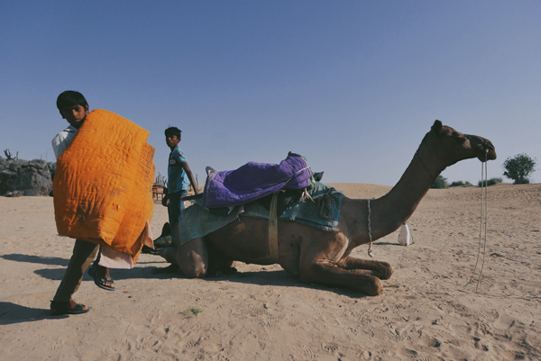 蹲踞在地上的骆驼和充当驼夫助手的当地小孩。