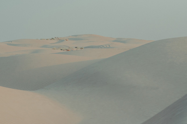 一望无垠的沙丘。