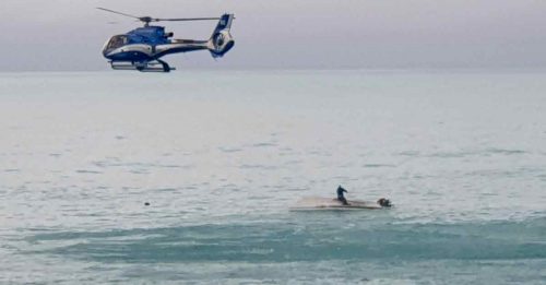 鲸鱼撞翻观赏船 罕见意外酿5死