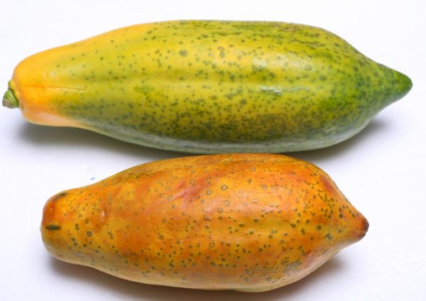 最佳的木瓜卖相是绿中带黄，过黄的代表已经熟透，买回家后若不即时吃完，会过熟就不好吃了。
