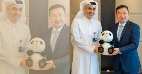 中国将运送2只熊猫到卡塔尔 庆祝世界杯足球赛开锣