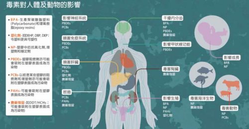 人类血栓中首次发现 塑胶微粒和染料颗粒