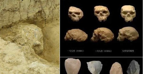 鄖縣人3號頭骨化石 實證中國百萬年人類史