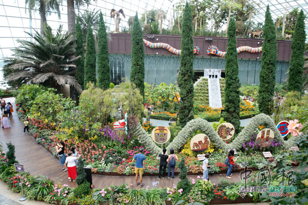 滨海湾花园目前进行墨西哥花卉展。