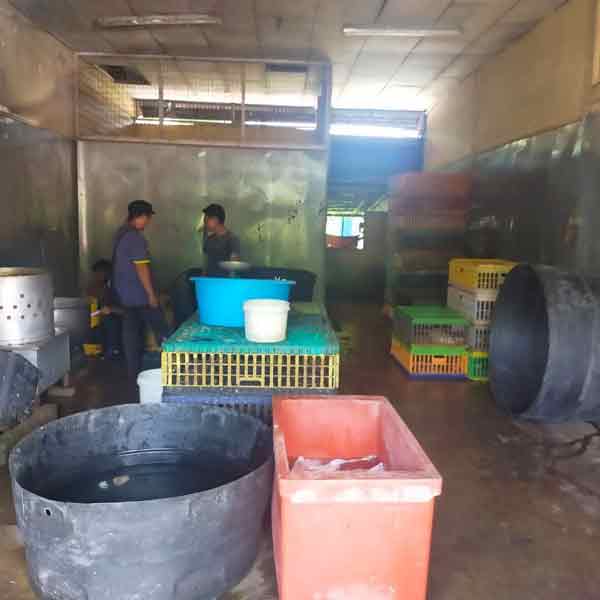 宰鸡厂涉嫌非法驳接水管偷水，被森州水务公司与国家水务委员会（SPAN）逮个正着。