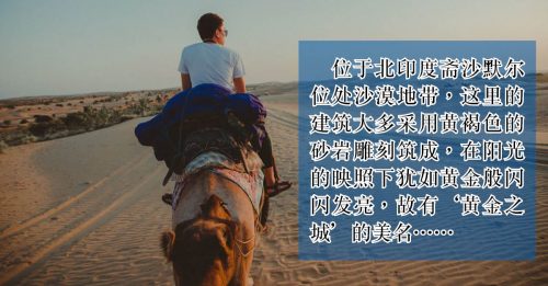◤快意书游◢黄金之城 骑骆驼闯沙漠 【北印度之旅】上篇