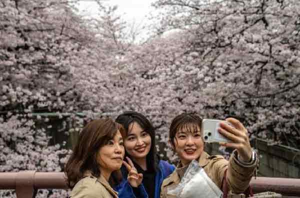 今年3月，东京民众赏樱。