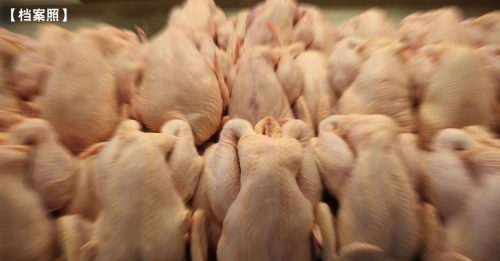 肉鸡产量供过于求 政府近期解除出口禁令