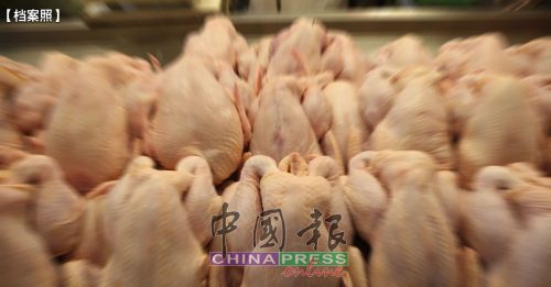 大马恢复50%肉鸡出口 农业部料近日宣布详情