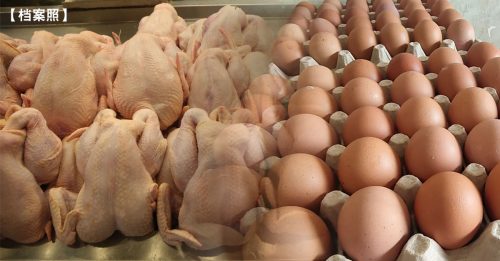 肉鸡每公斤80仙 每个鸡蛋8仙 内阁继续提供补贴至年尾