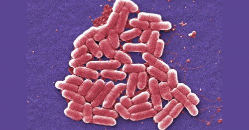印度面临抗药性隐忧 恐导致超级细菌大流行