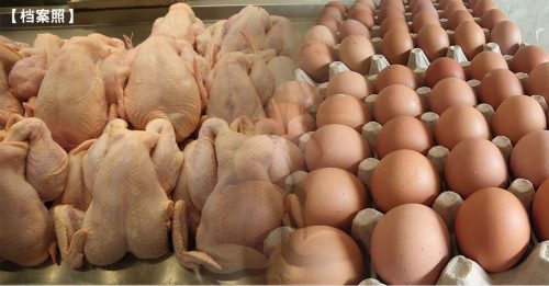 顶价维持至12月 肉鸡每公斤补贴80仙 鸡蛋每个补贴8仙