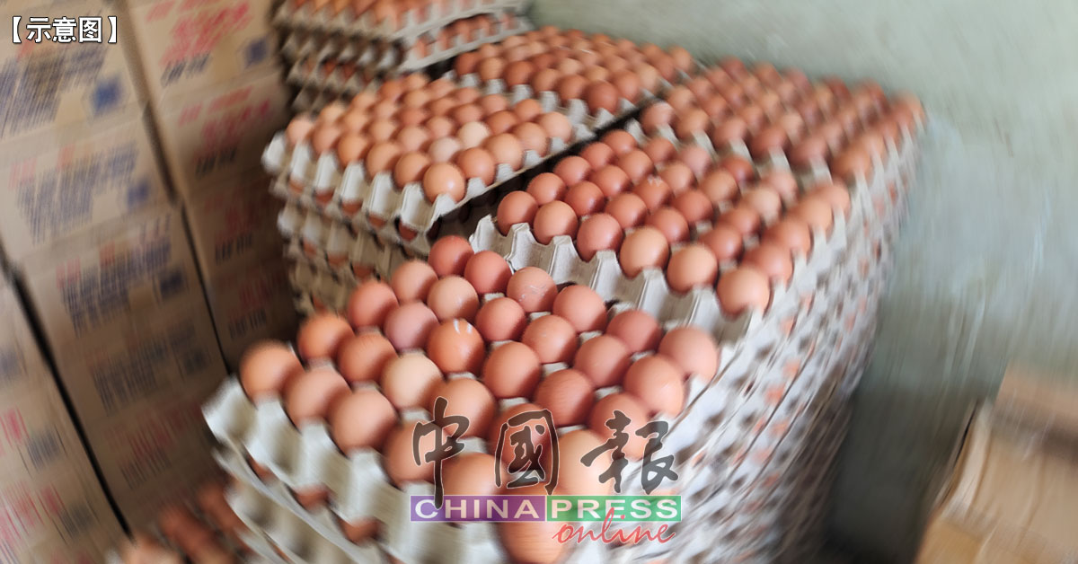 雞蛋供應, 雞蛋短缺, egg shortage