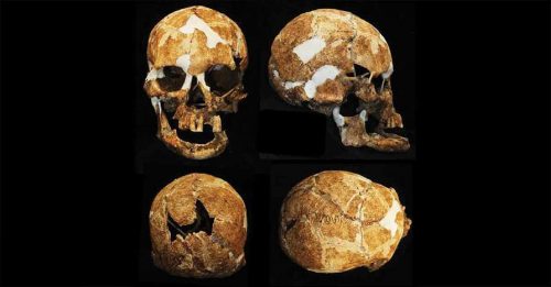 台东黑矮人传说可能真实 澳洲大学发现6000年前骨骸