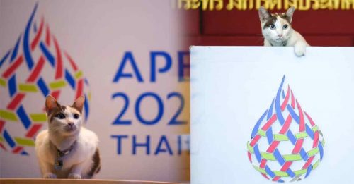 泰国主办APEC峰会 “代言人”是它