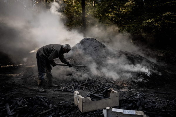 法国阿托奈有制木炭工人上周三在一处森林里烧制木炭，用以生火取暖。（法新社）